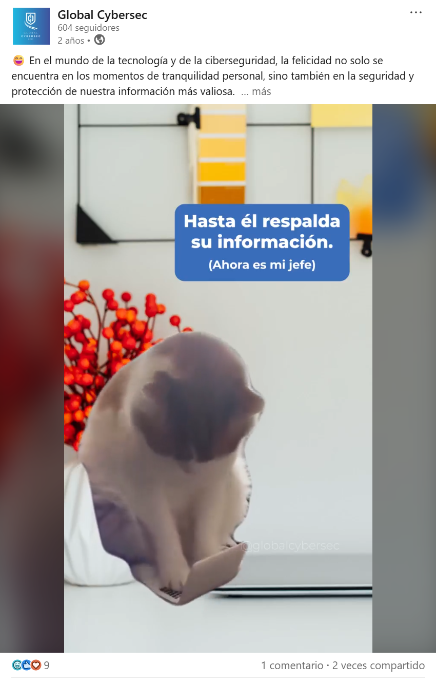 Publicación en LinkedIn
