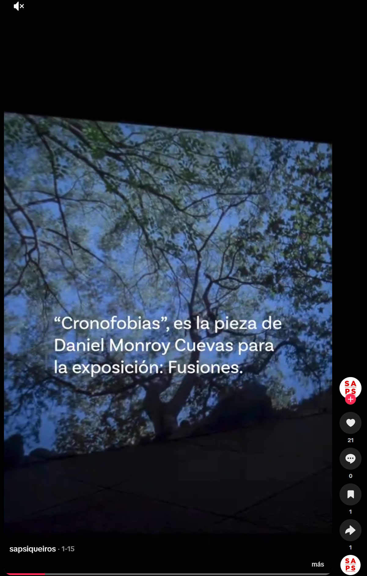Publicación en TikTok